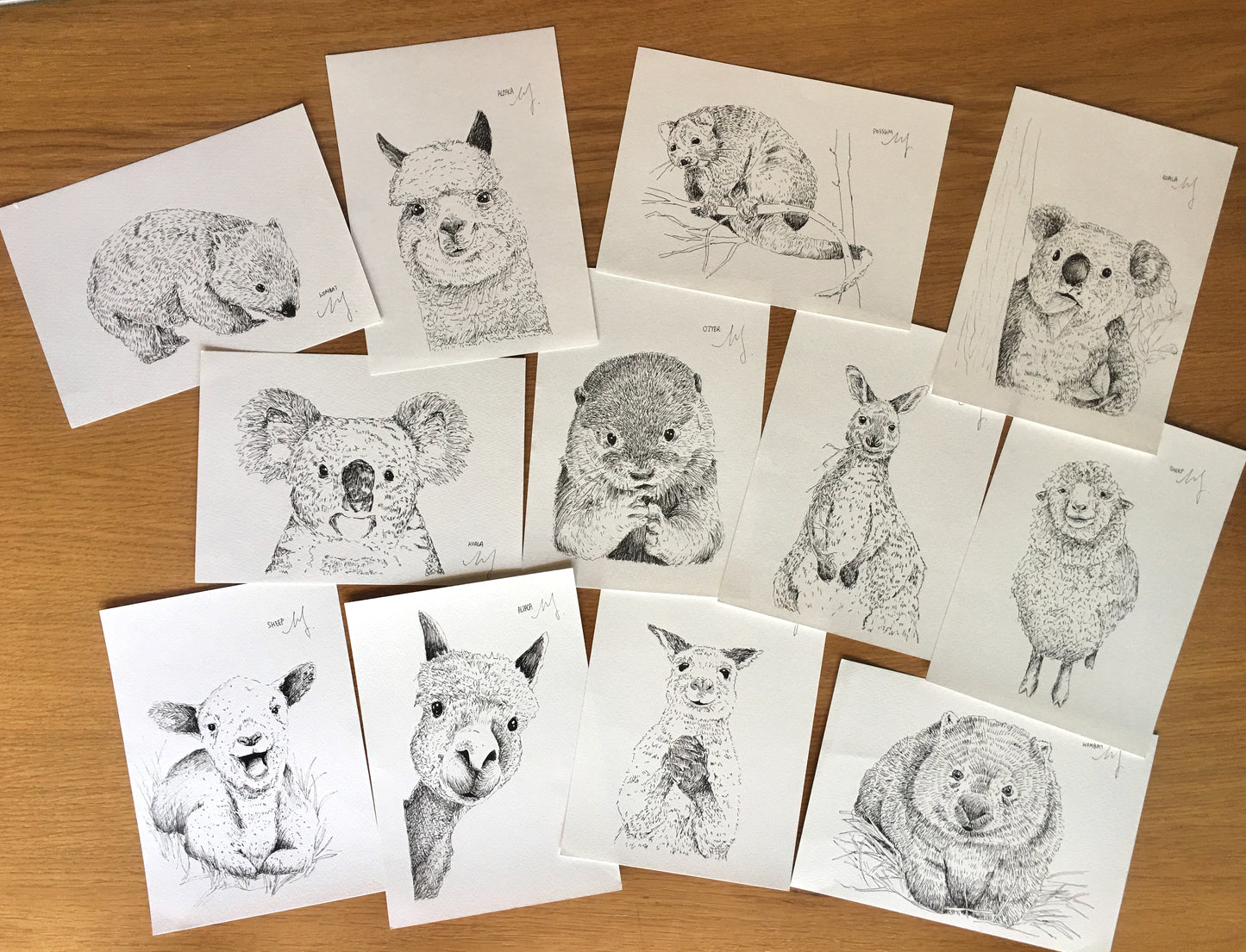 Aussie Wildlife Postcard Bundle