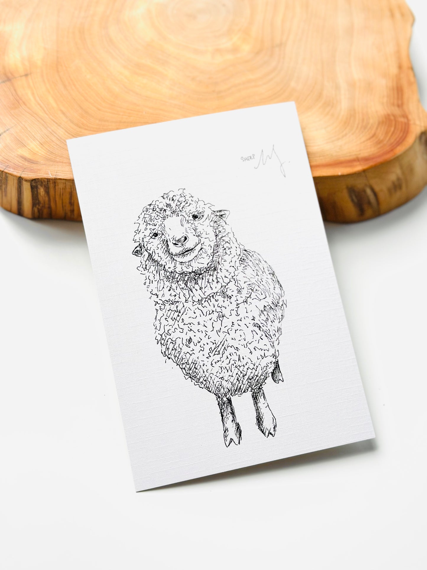 Aussie Wildlife Postcard Bundle