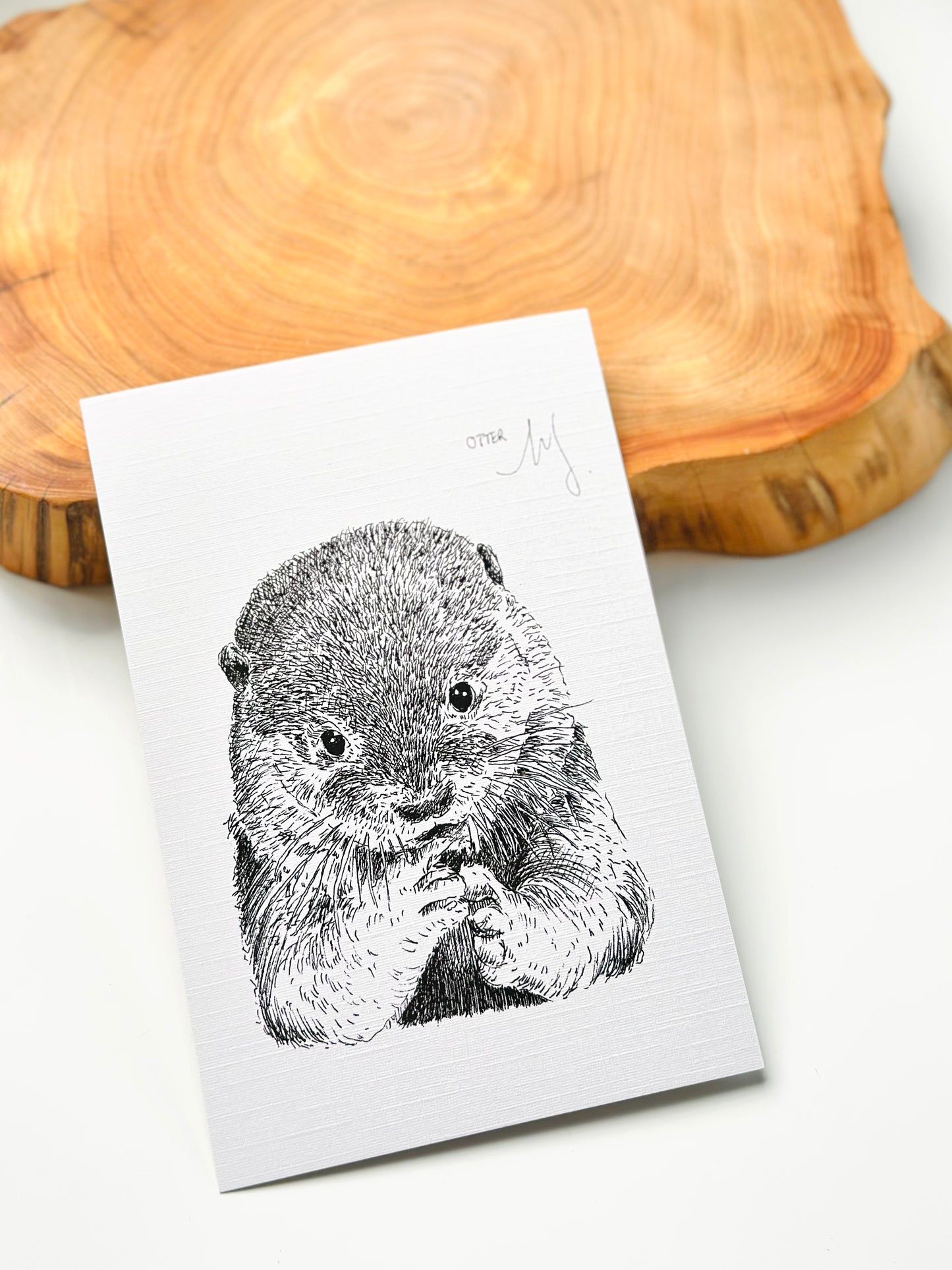 Aussie Wildlife Postcard Bundle