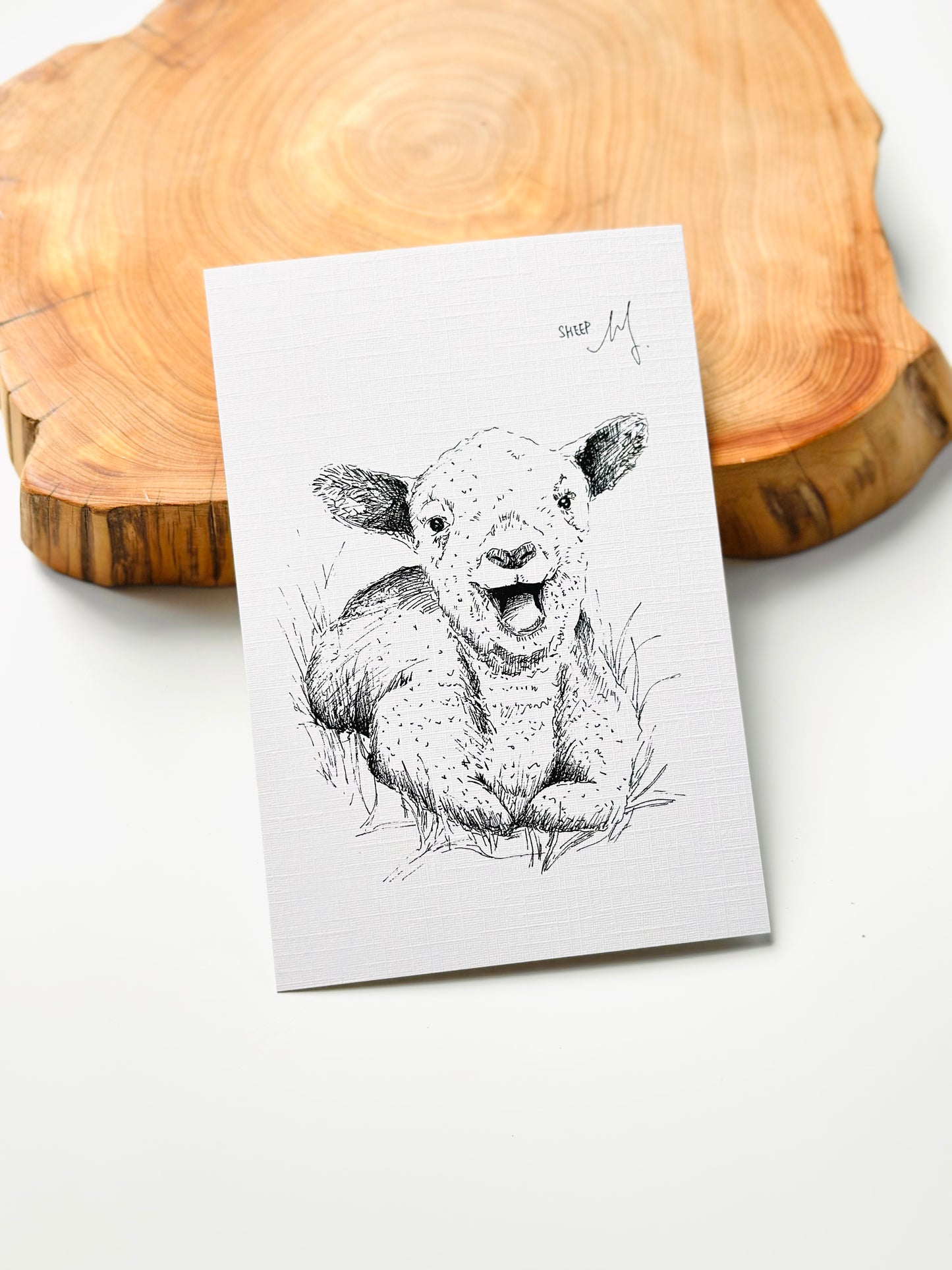 Aussie Wildlife Postcard Bundle