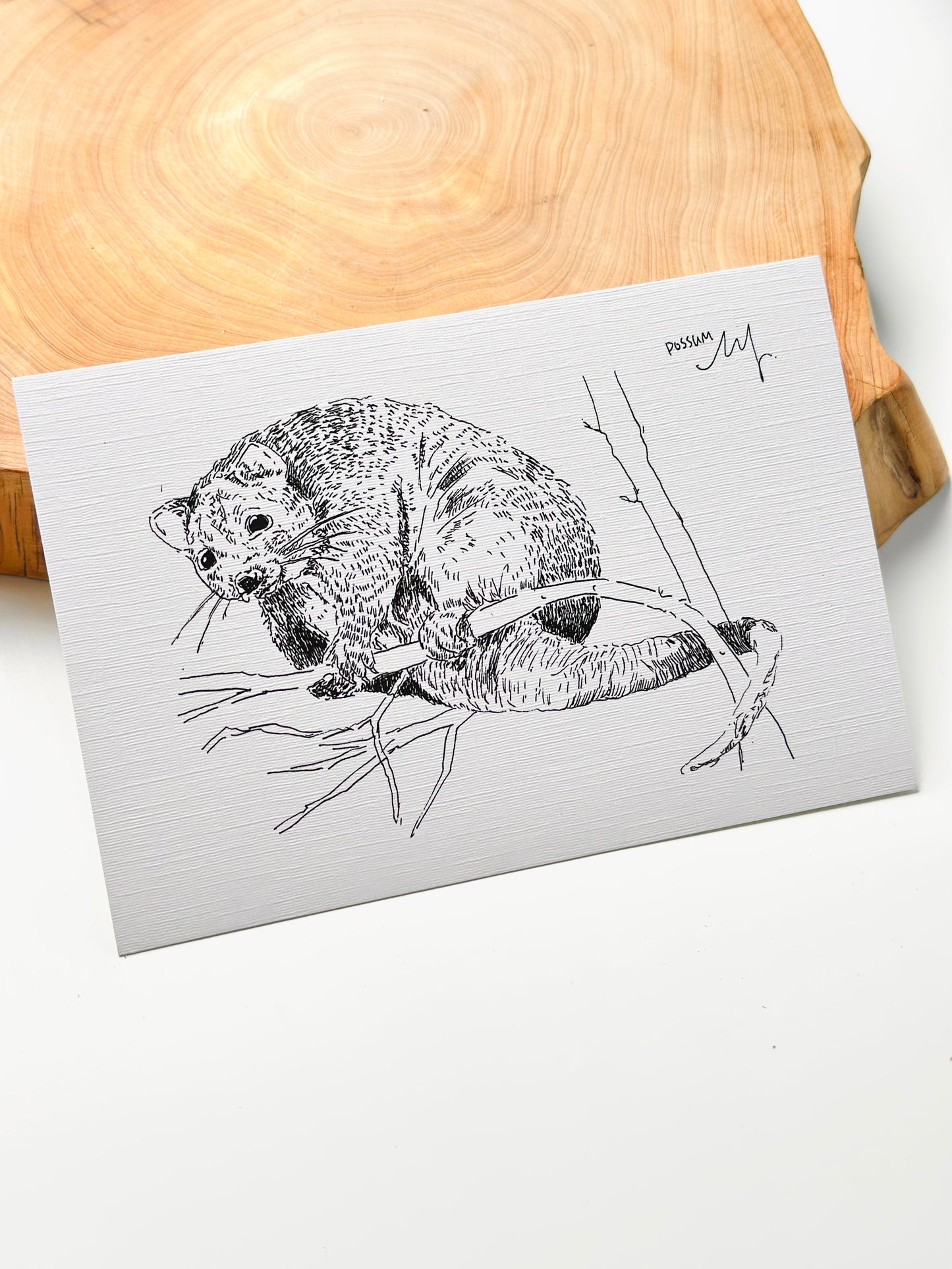 Possum Postcard