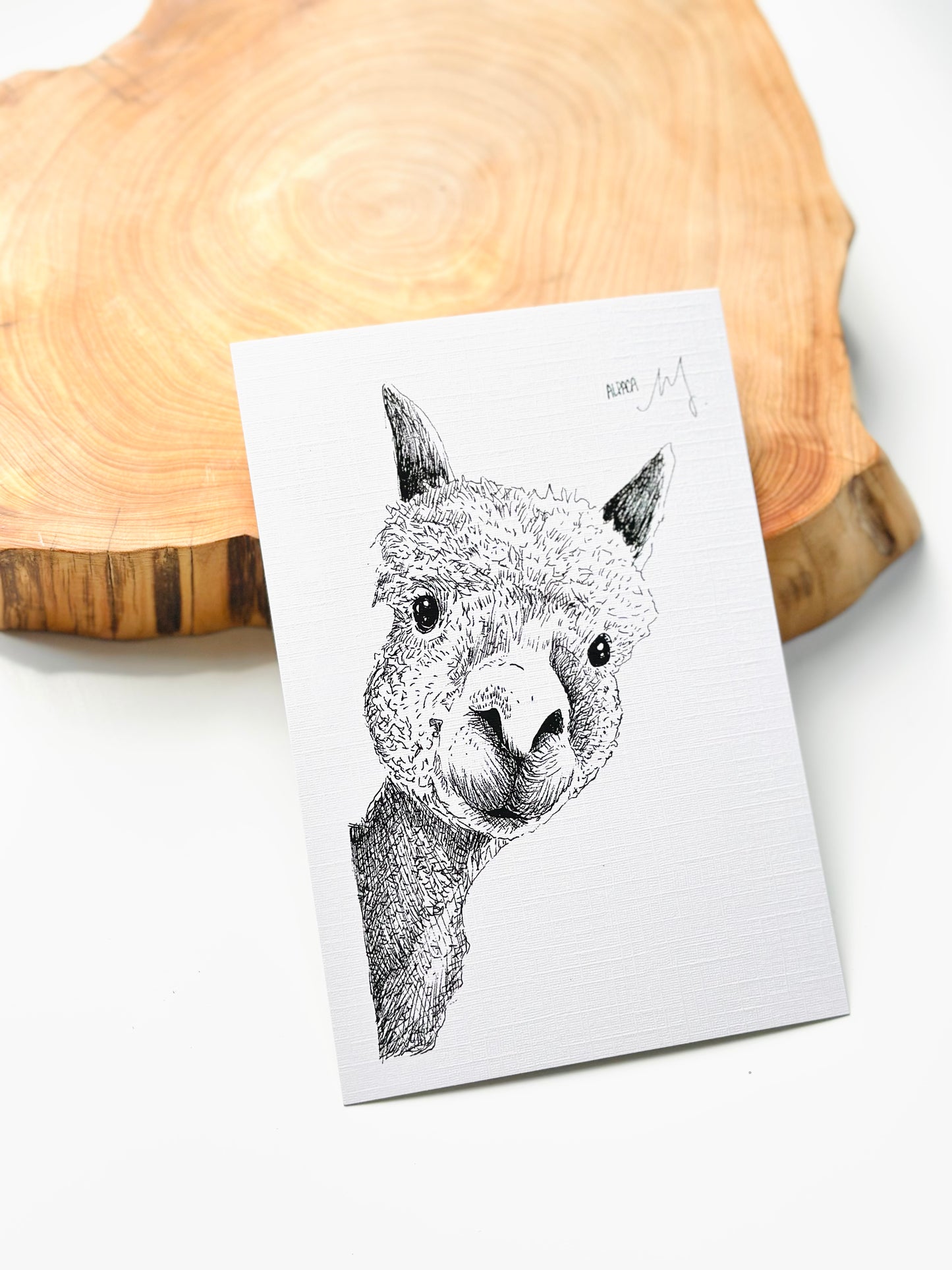 Alpaca Postcrad I