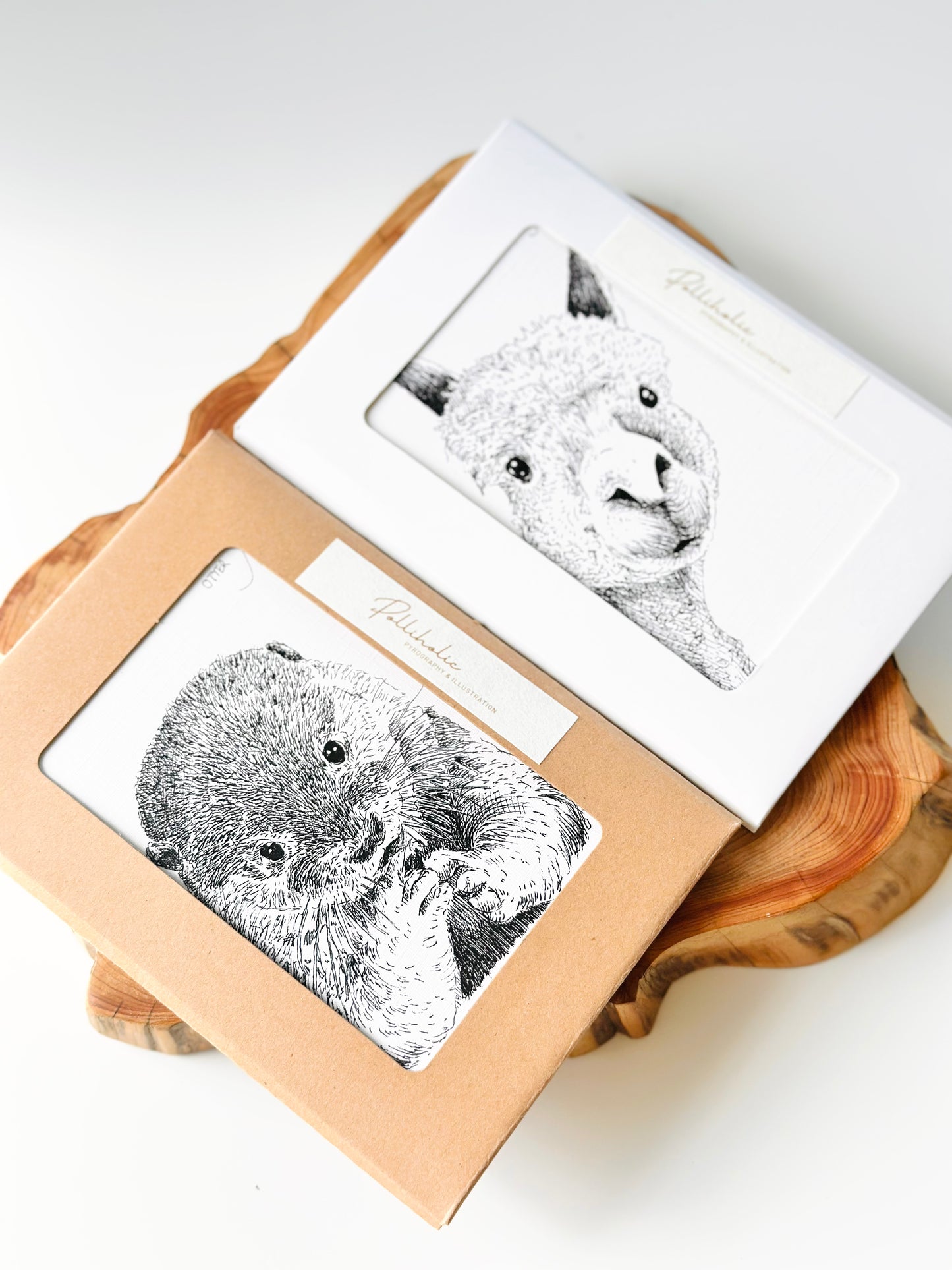Aussie Wildlife Postcard Bundle
