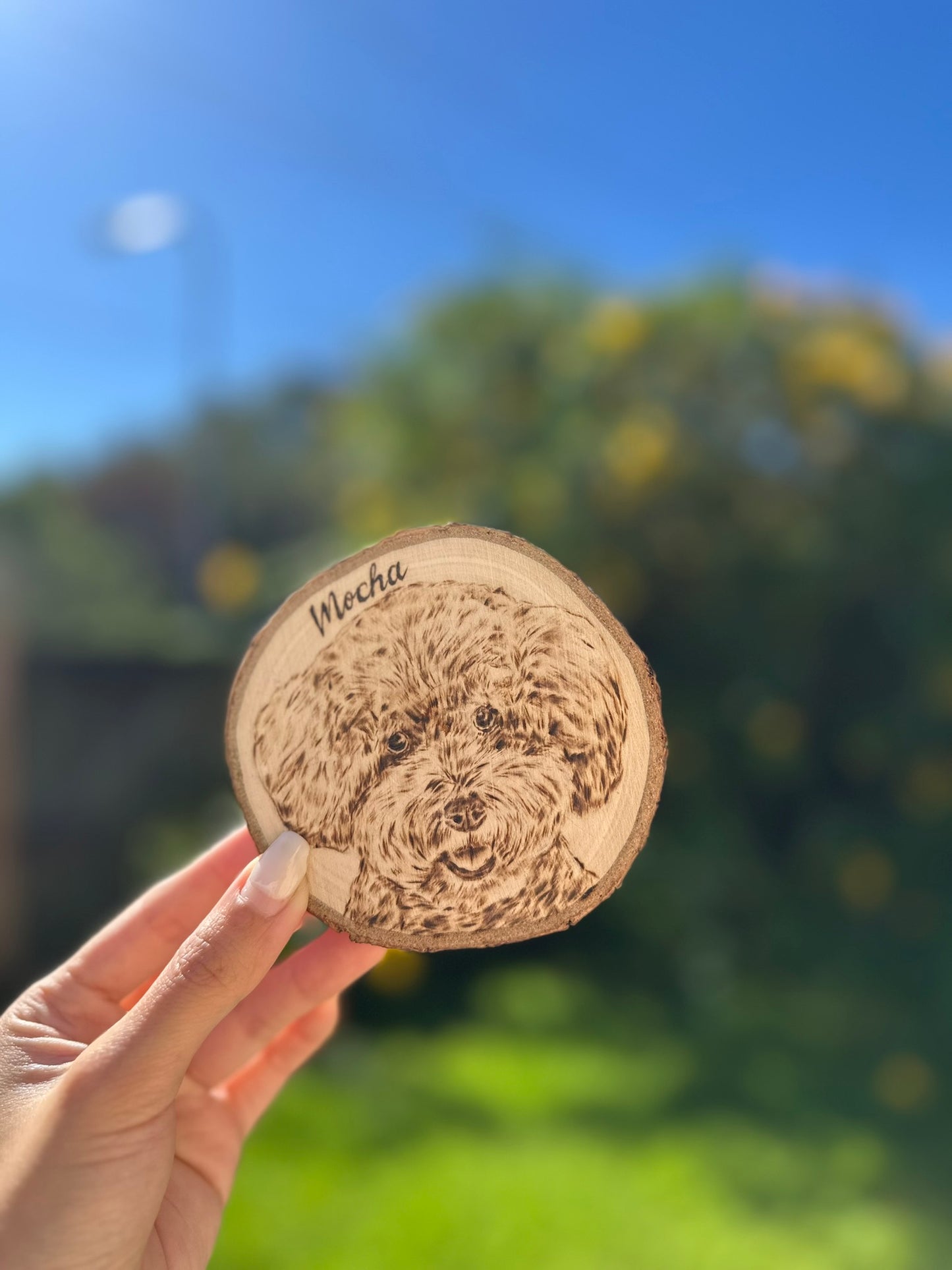 Natural Wood Circle Custom Pet Portrait – Hand-Burned Pyrography Art
