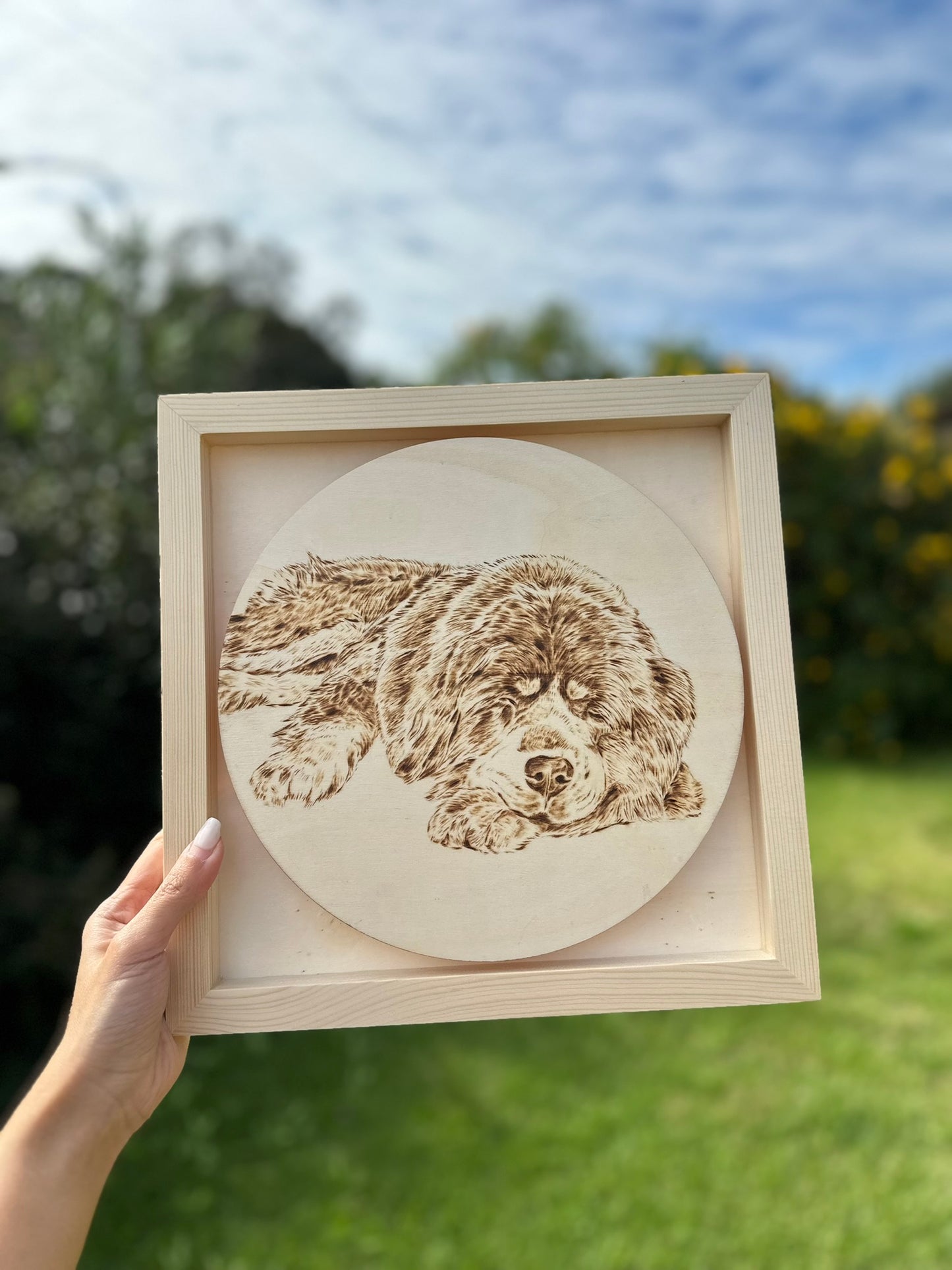 Custom Pet Portrait on Plywood – 30x30 cm Framed Pyrography Art