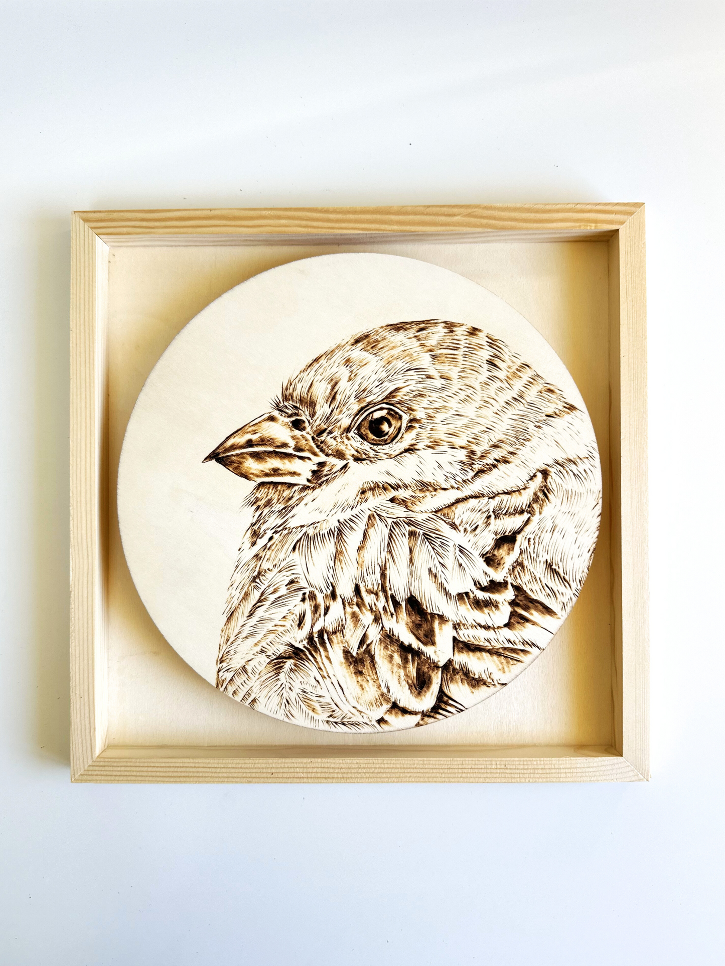 Custom Pet Portrait on Plywood – 30x30 cm Framed Pyrography Art