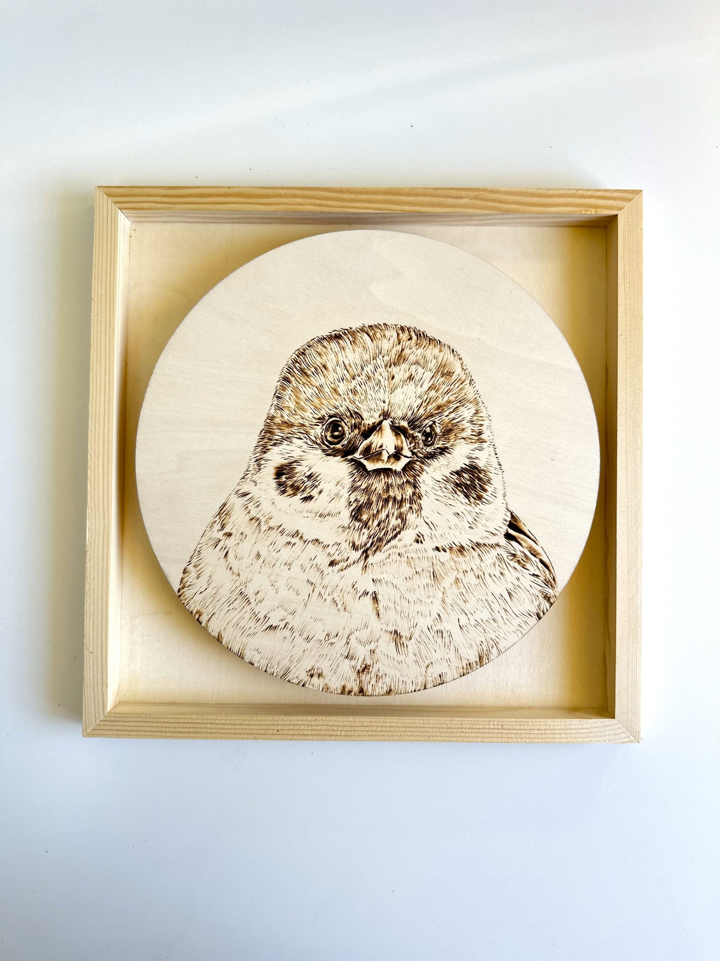 Custom Pet Portrait on Plywood – 30x30 cm Framed Pyrography Art