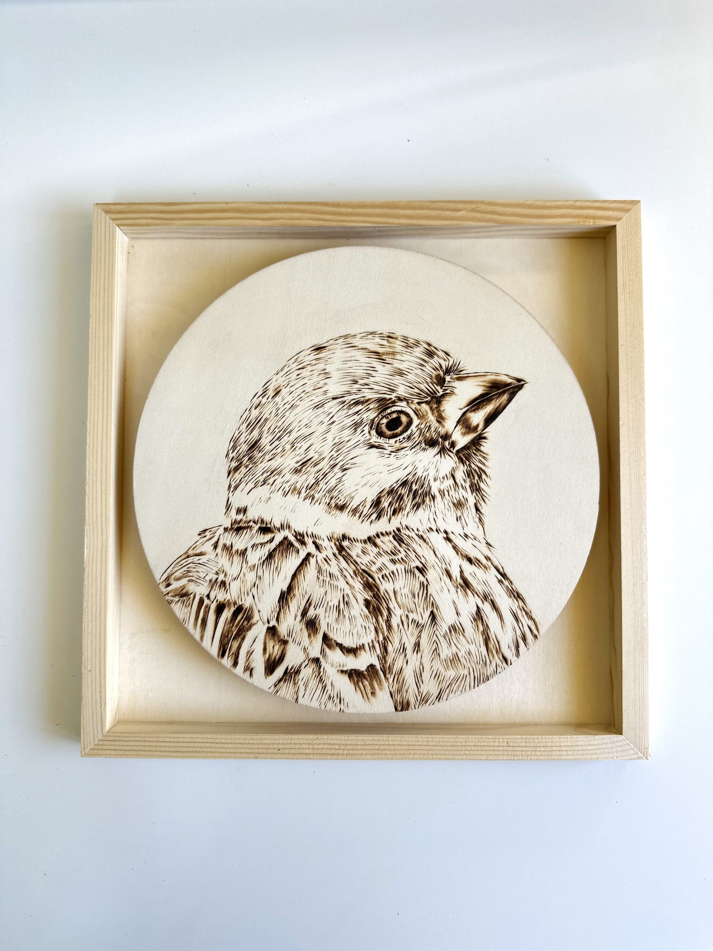 Custom Pet Portrait on Plywood – 30x30 cm Framed Pyrography Art