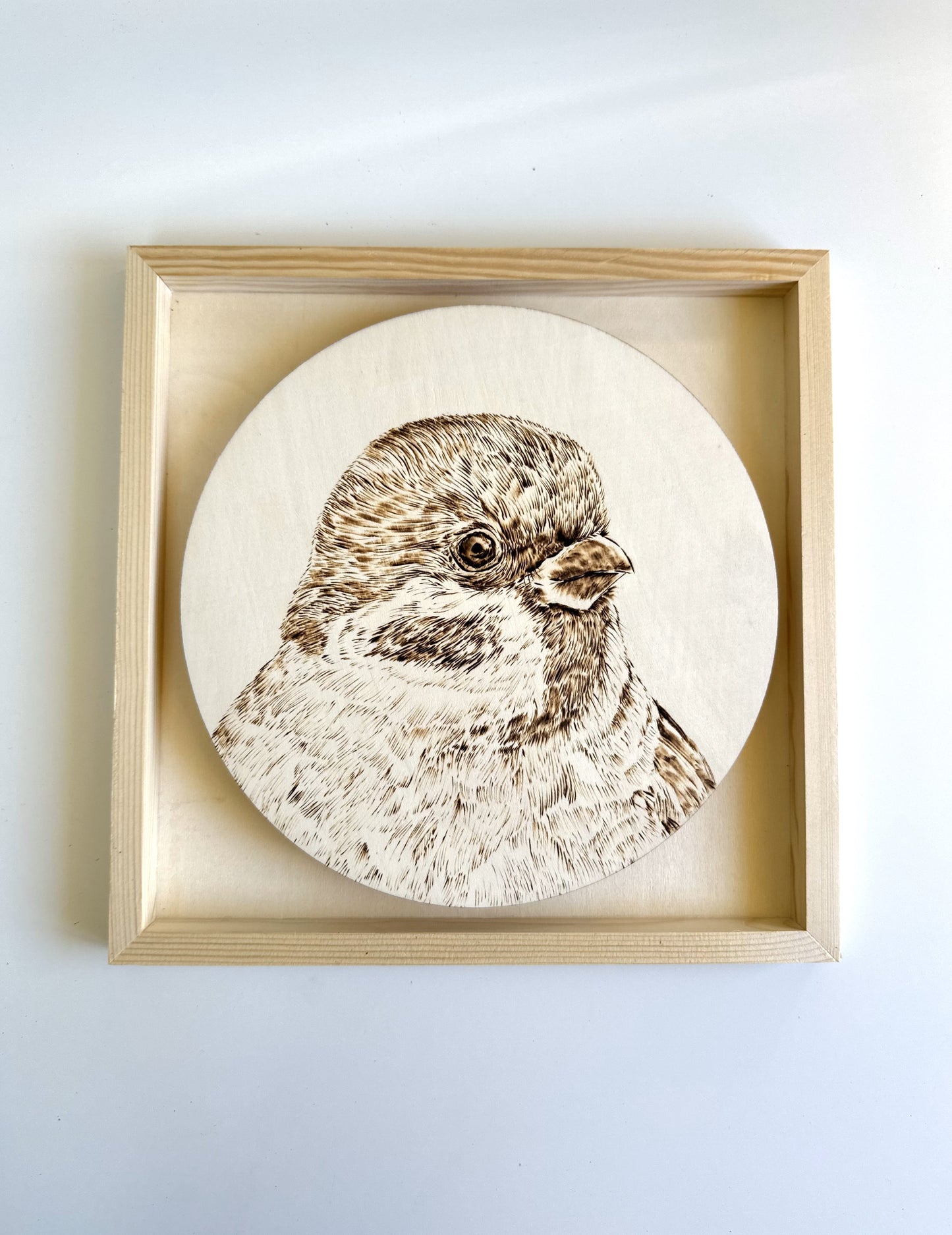 Custom Pet Portrait on Plywood – 30x30 cm Framed Pyrography Art