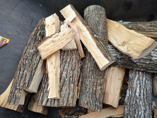 Bass wood block with tree bark