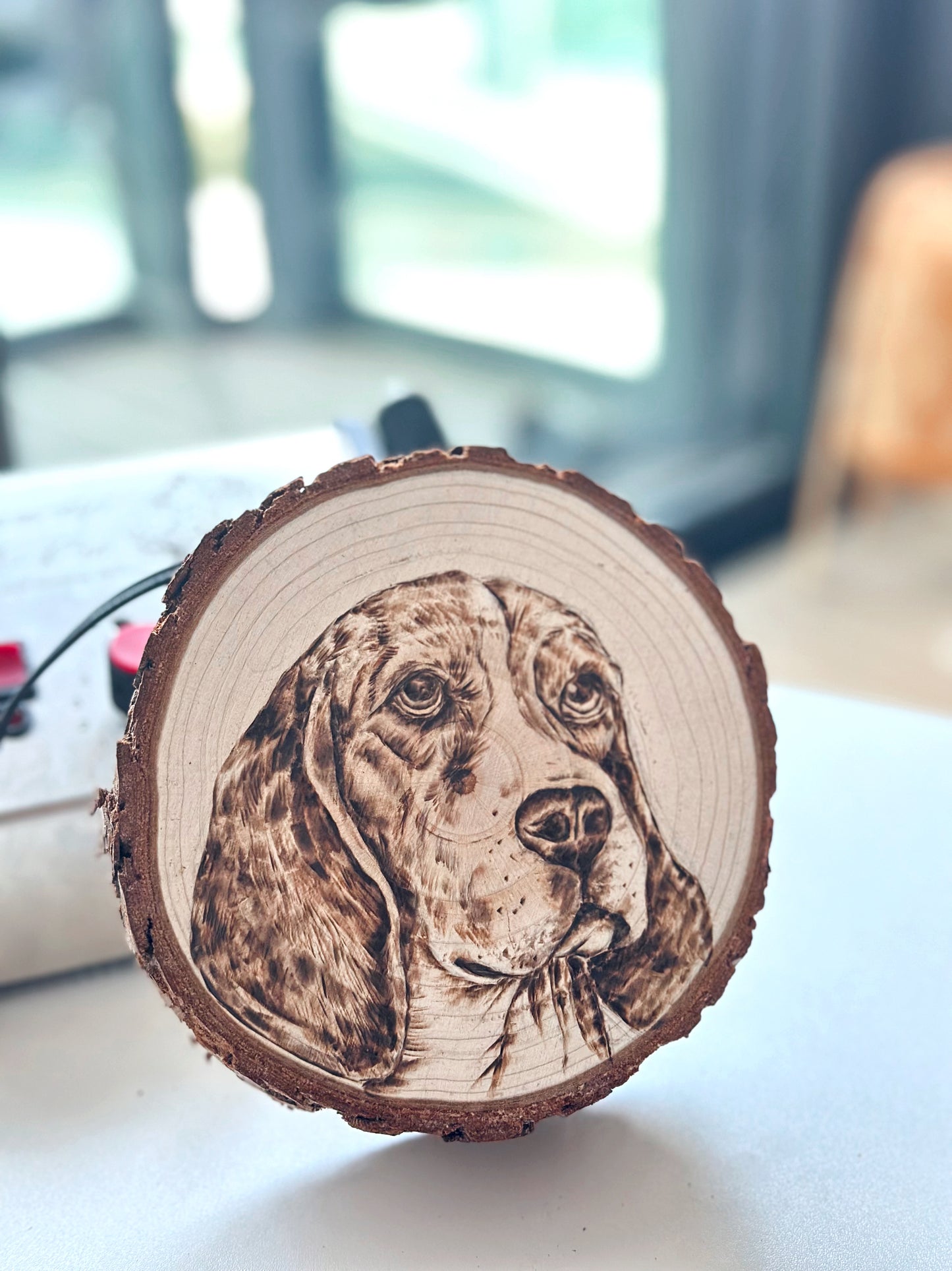 Customized Pet Portrait Pyrograpghy Artwork