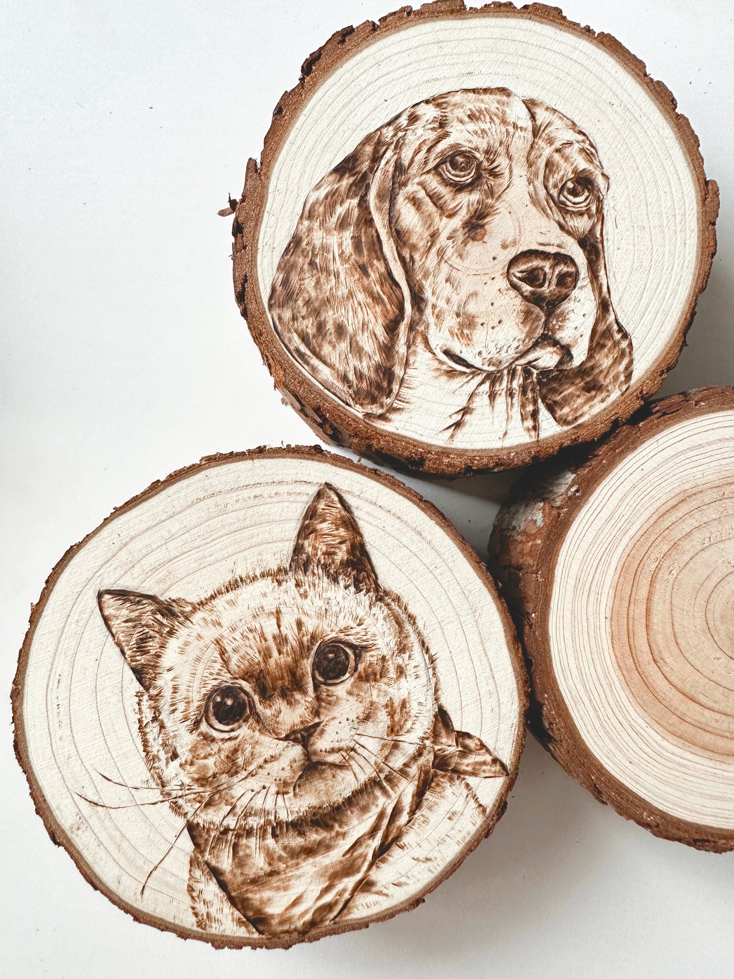 Customized Pet Portrait Pyrograpghy Artwork