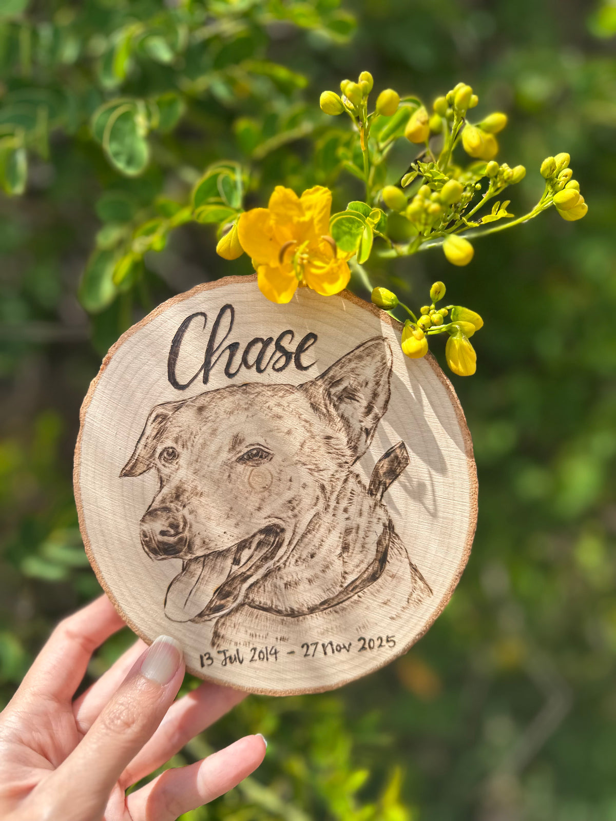 Natural Wood Circle Custom Pet Portrait – Hand-Burned Pyrography Art