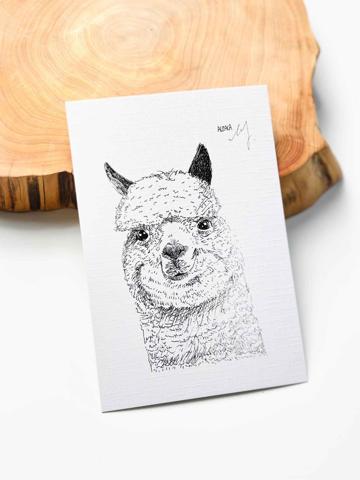 Alpaca Postcard II
