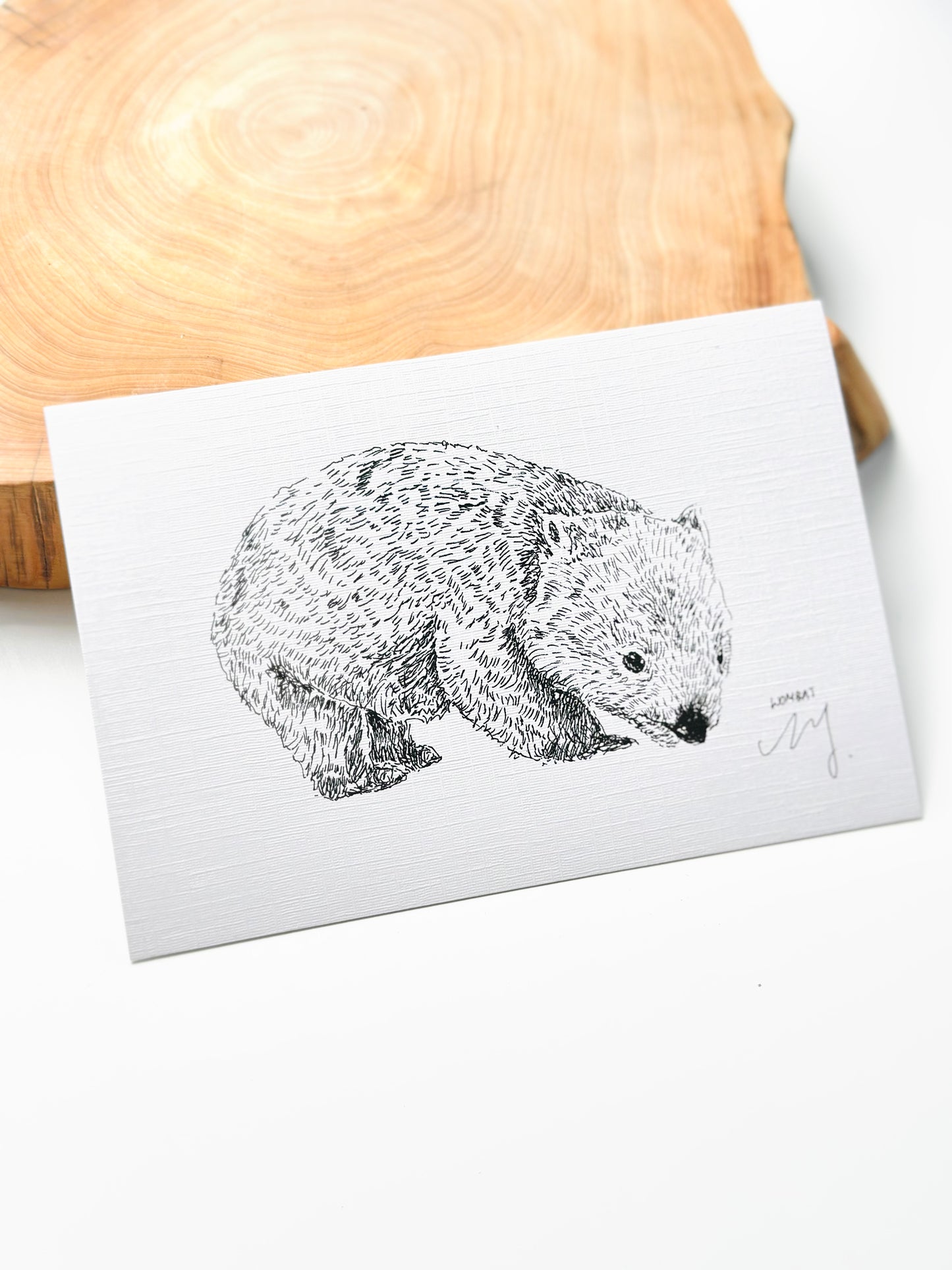Wombat Postcard I