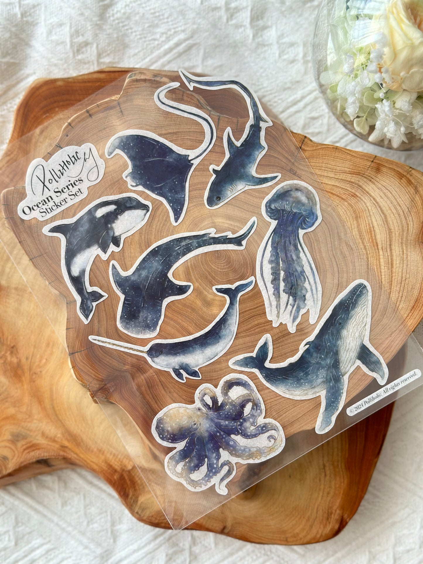 Ocean Animal Sticker