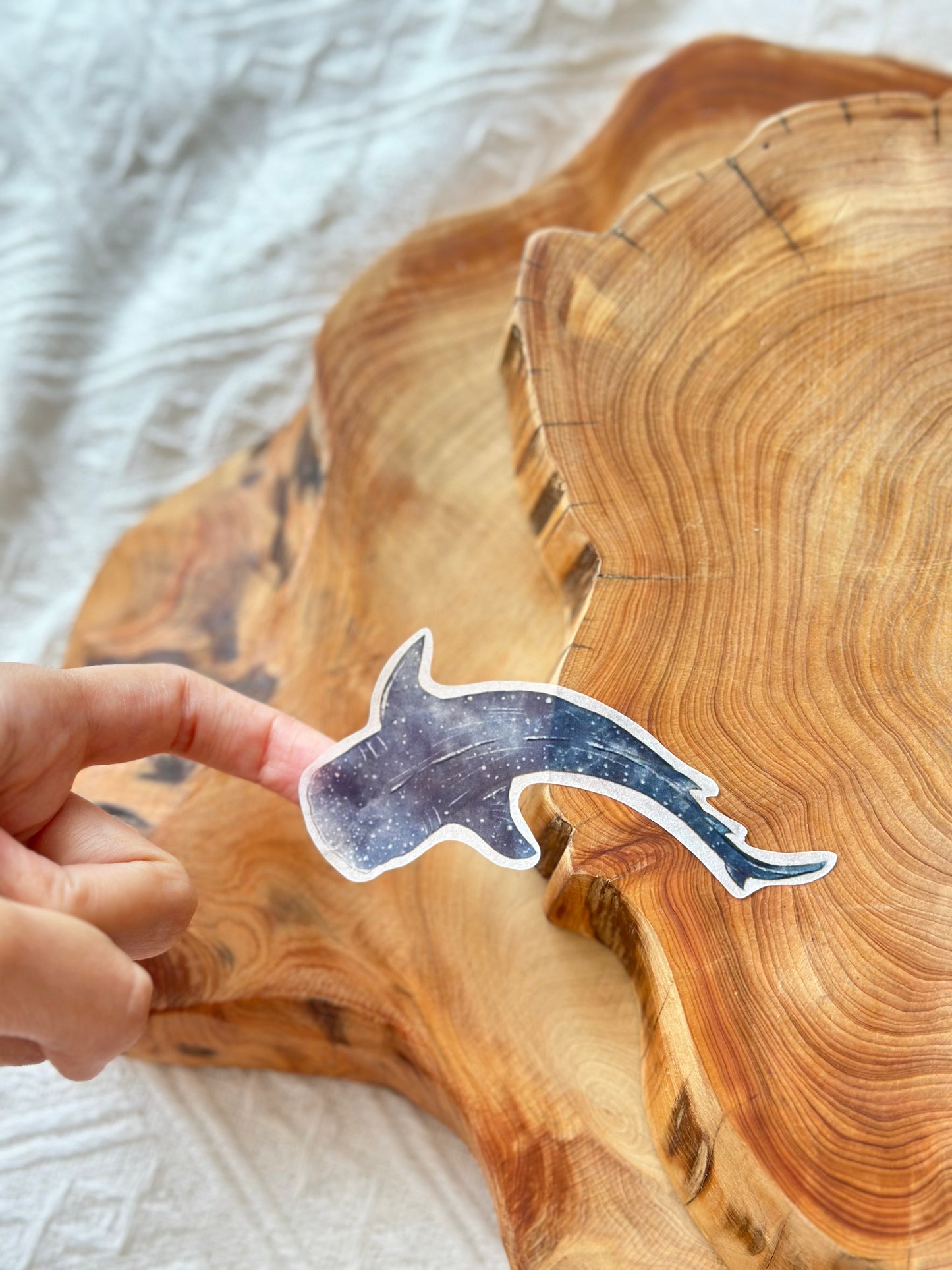 Ocean Animal Sticker