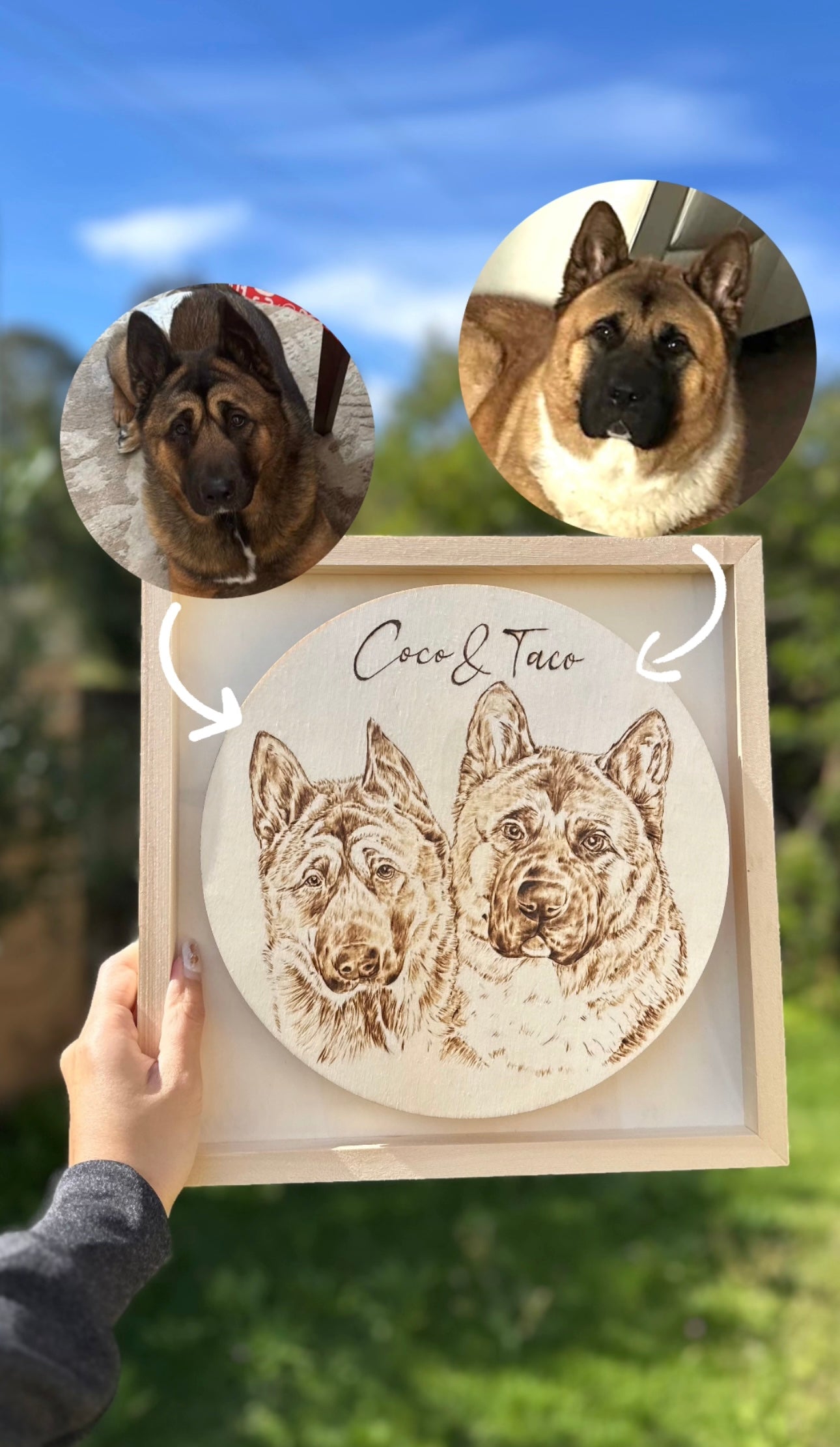 Custom Pet Portrait on Plywood – 30x30 cm Framed Pyrography Art