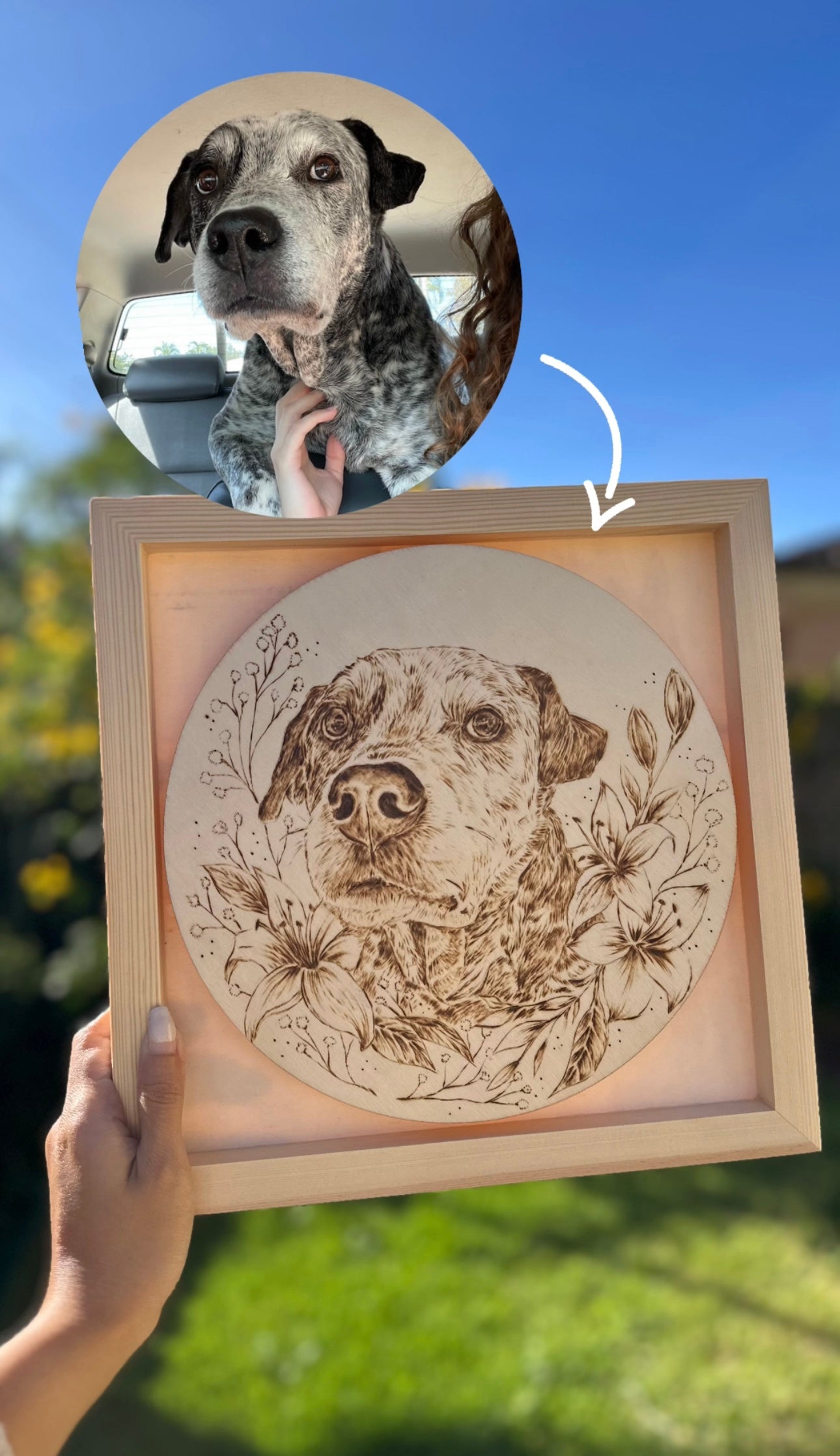 Custom Pet Portrait on Plywood – 30x30 cm Framed Pyrography Art