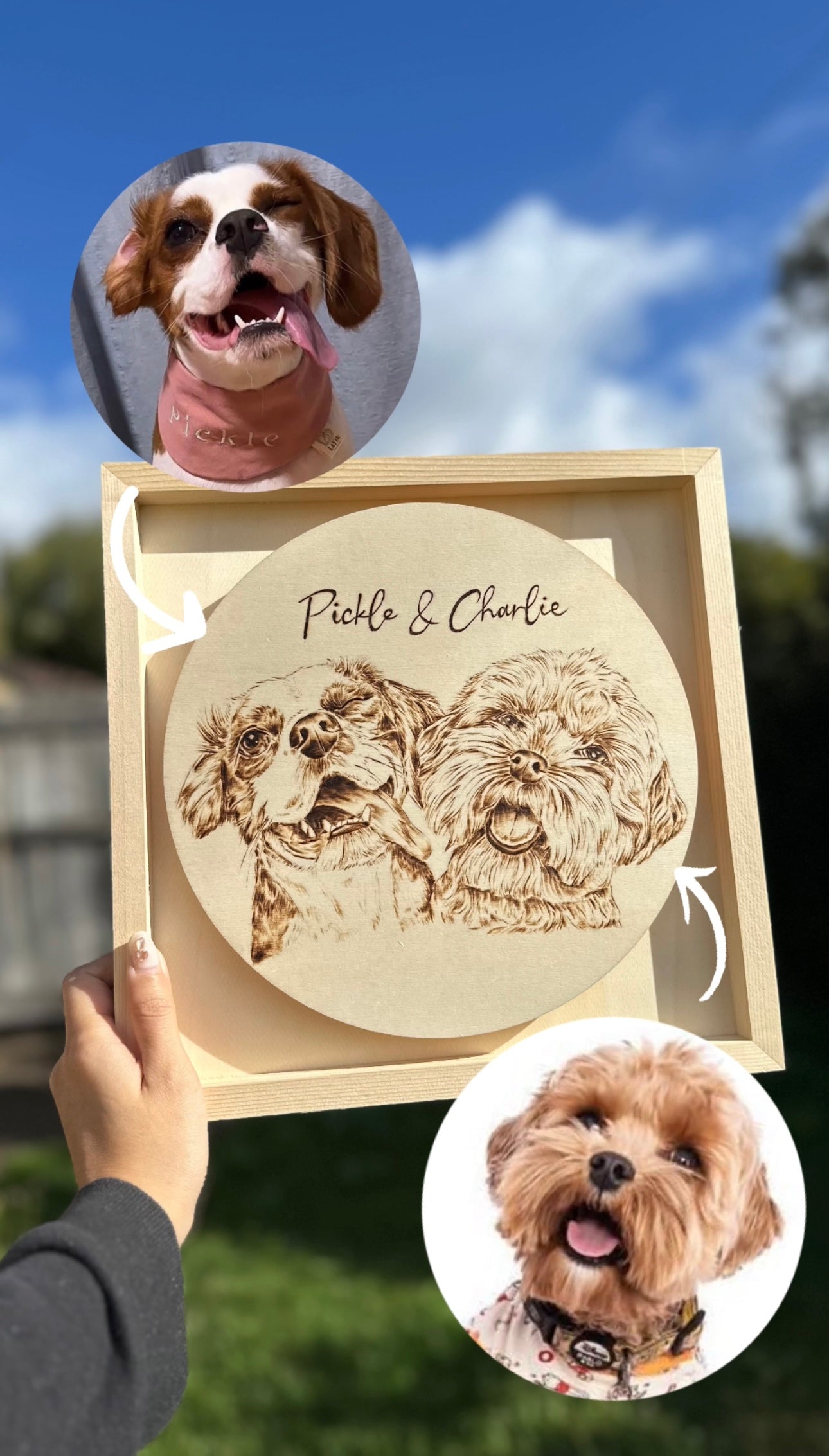 Custom Pet Portrait on Plywood – 30x30 cm Framed Pyrography Art