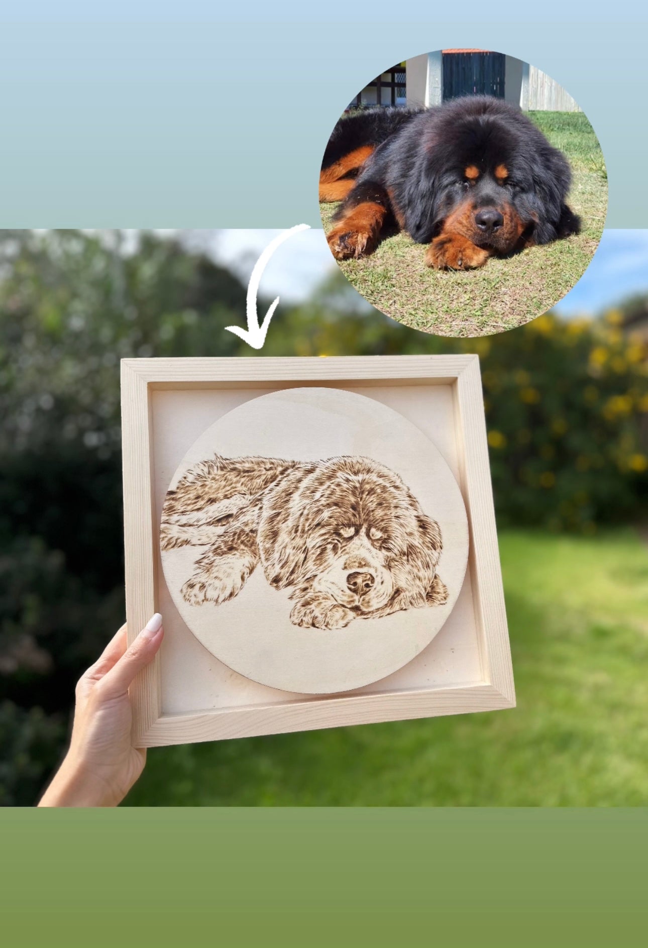 Custom Pet Portrait on Plywood – 30x30 cm Framed Pyrography Art