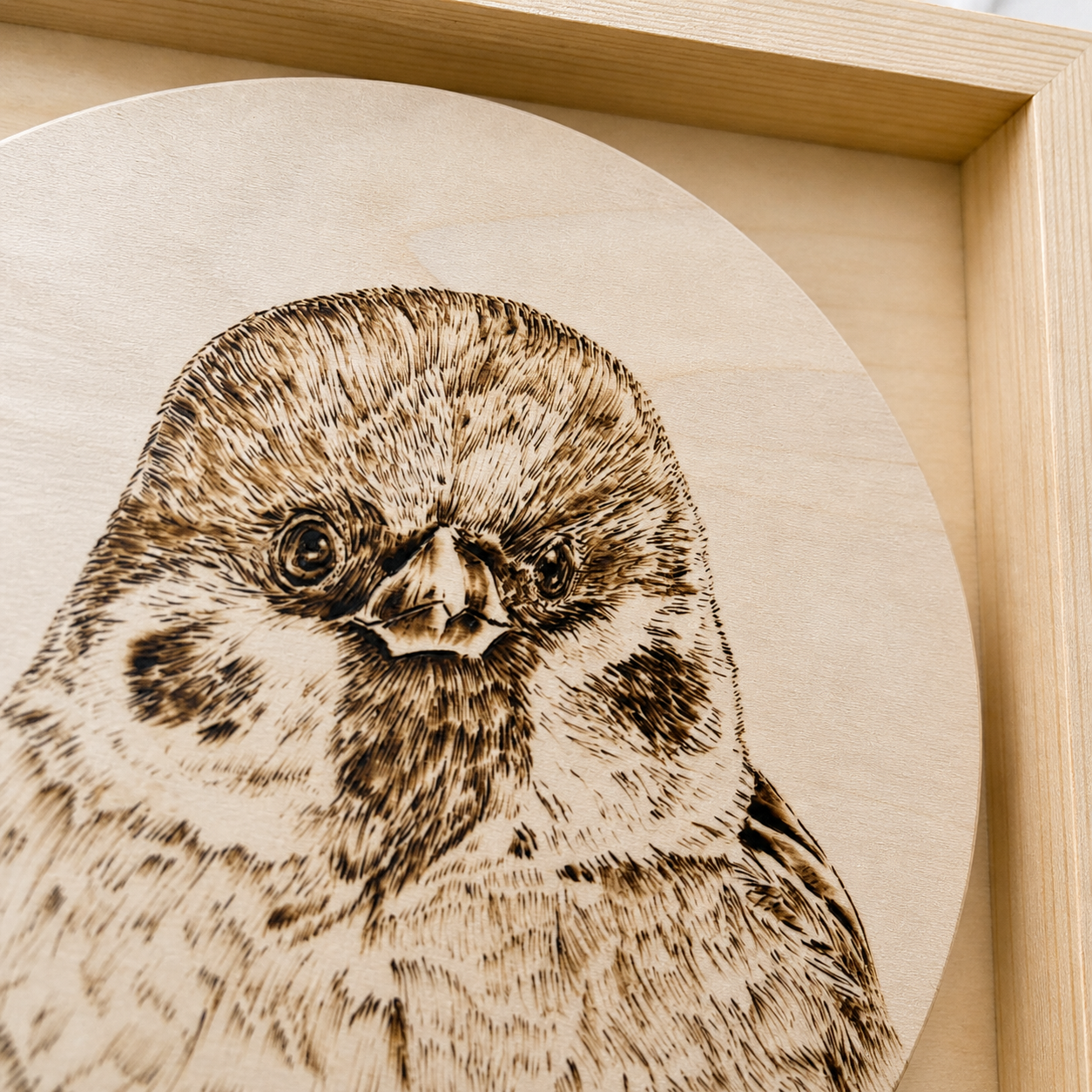 Tree Sparrow II